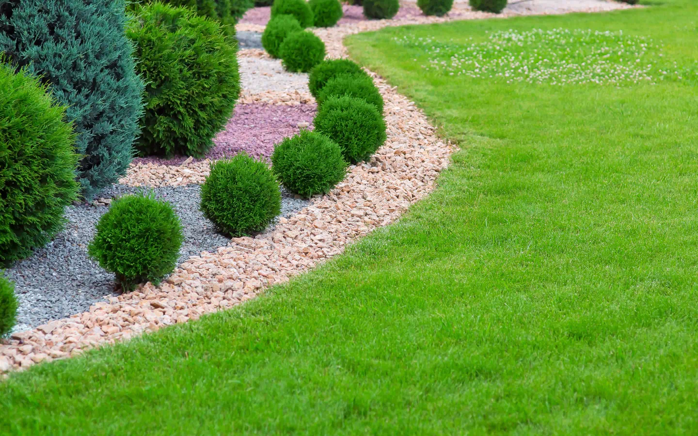 newly installed lawn and shrubs